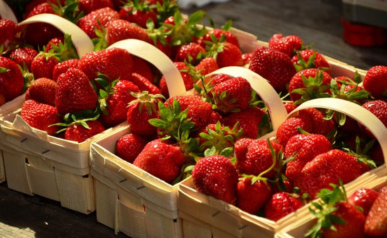 Erdbeeren