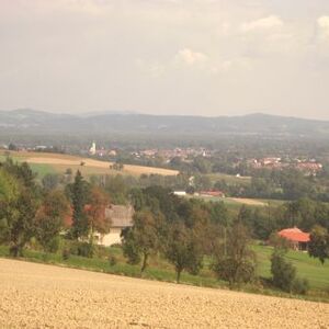 Sternwallfahrt 