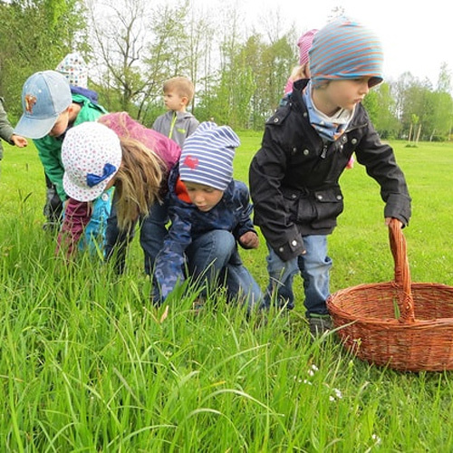 Kräuterwanderung