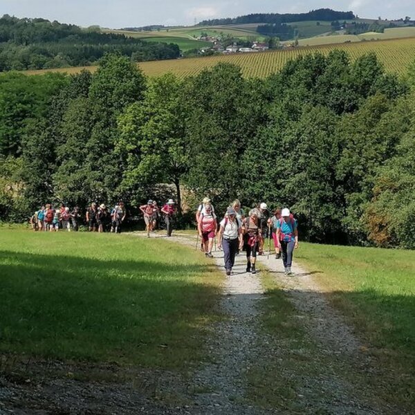 Pilgerwanderung / Foto: Andrea Dirmhirn Frauen-Kraftweg
