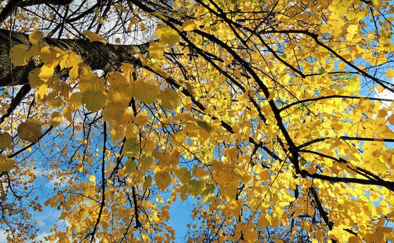 Herbst Himmel